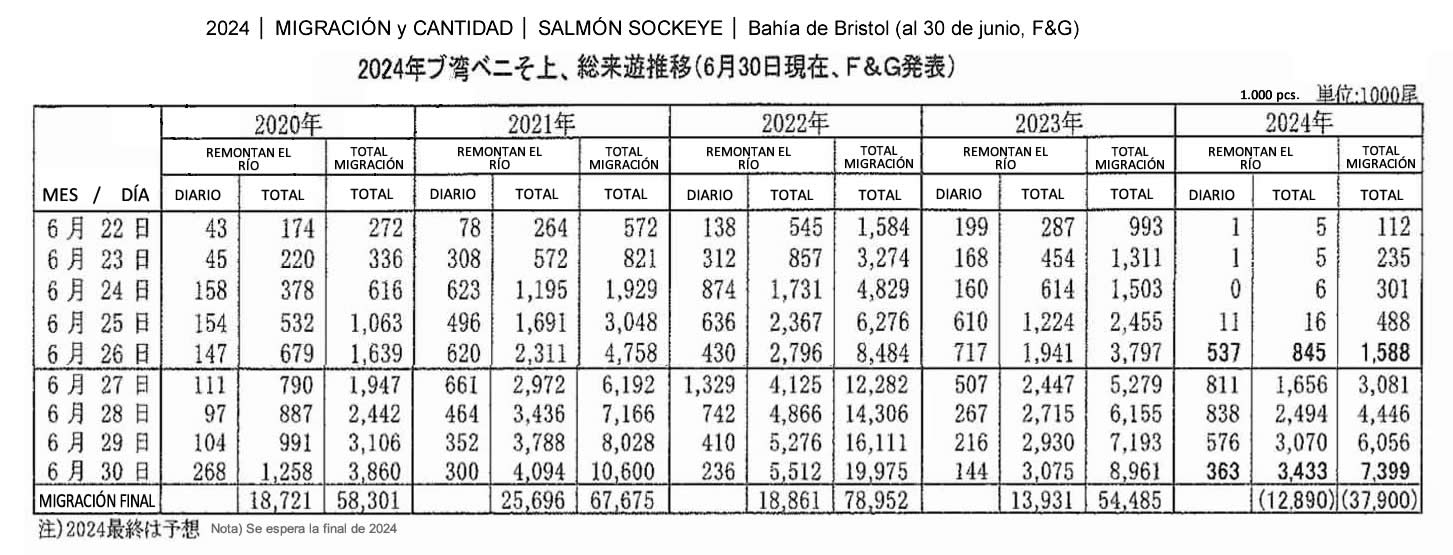 esp-Migracion y cantidad de sockeye salmon de Bristol Bay que remontan el rio FIS seafood_media.jpg